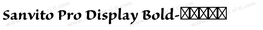 Sanvito Pro Display Bold字体转换